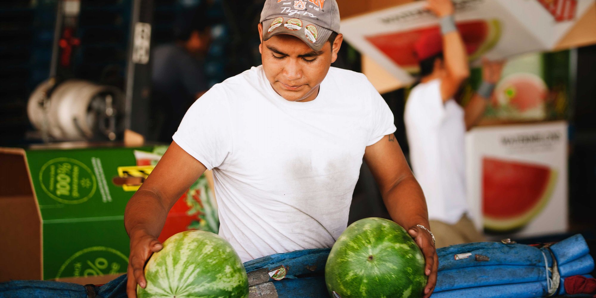 packing shed sort, one worker in foreground, other worker in background carrying box to pack watermelons in