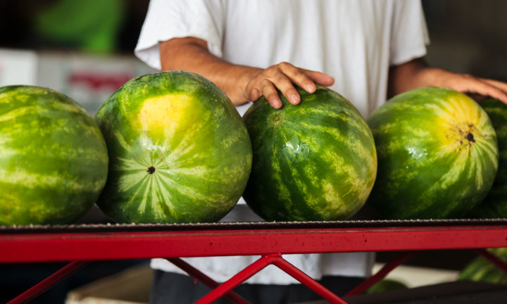 four watermelons on conveyer belt with man in background