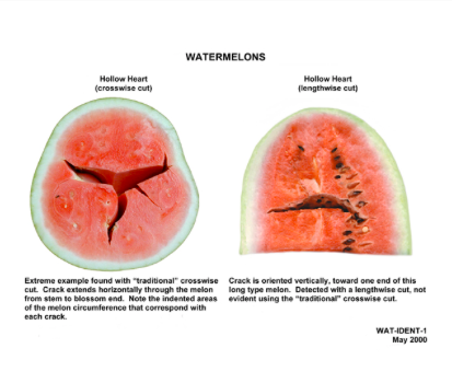 depiction of hollow-heart watermelon with worded explanation