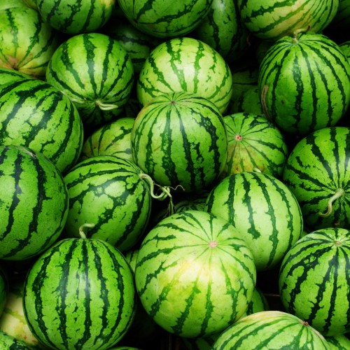 many mini watermelon close-up