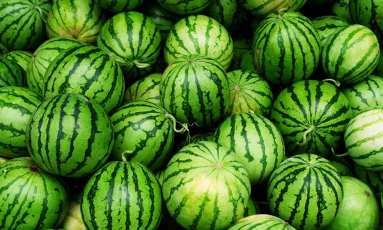 many mini watermelon close-up