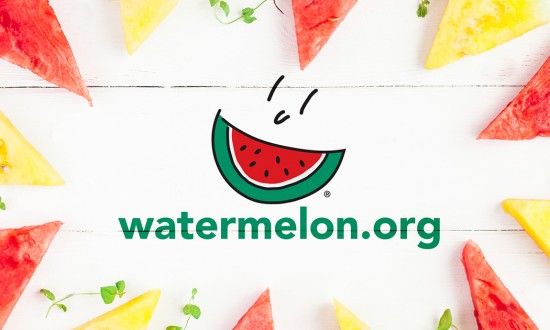 watermelon.org log in center of red and yellow watermelon triangular cuts on white wooden background