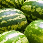 Whole watermelon close-up, several