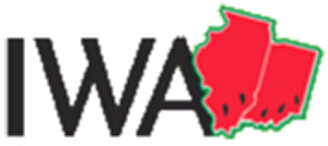 IWA Logo with small gray and white checkered background