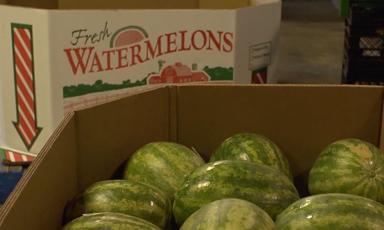 watermelon set in bin with other bin in background