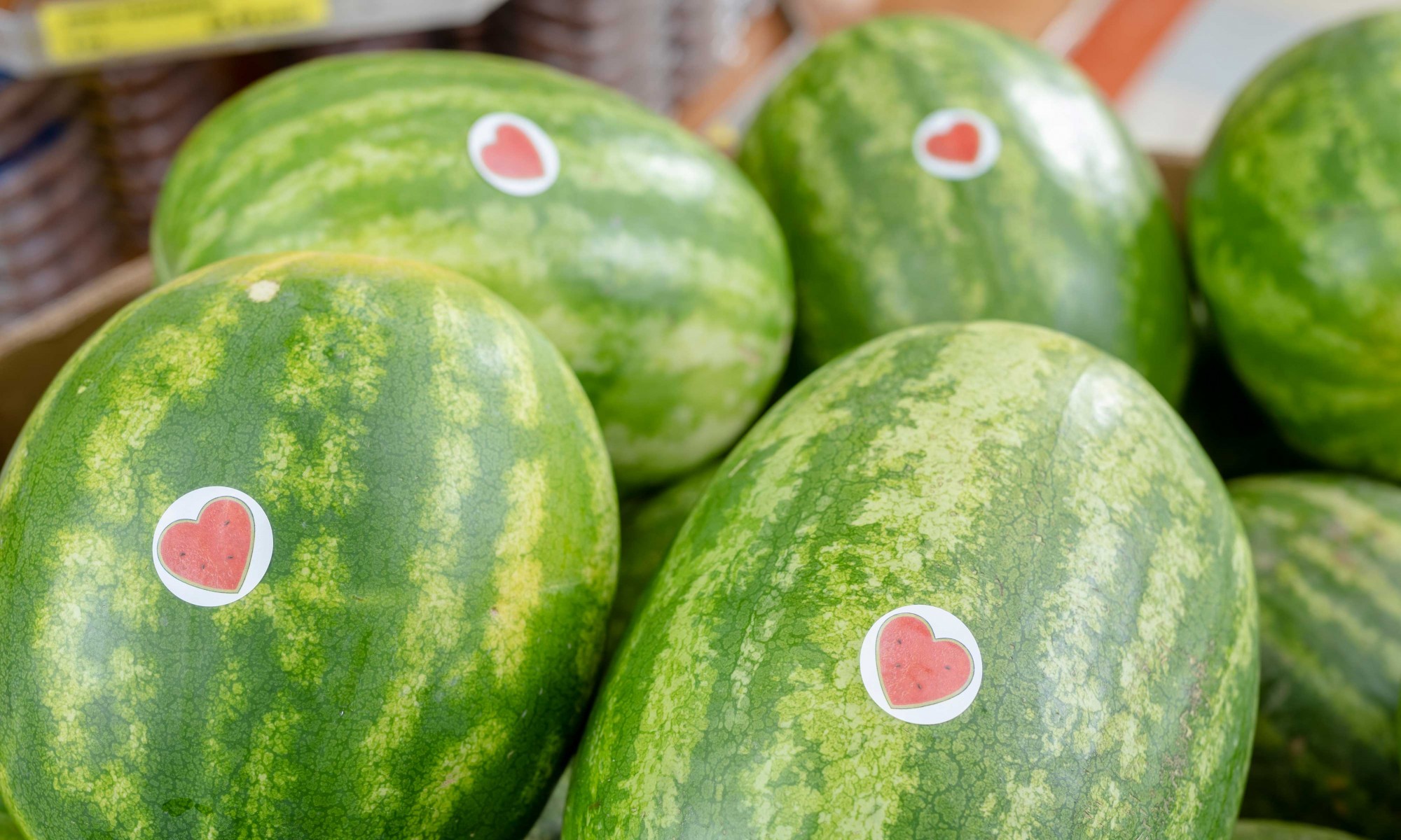 close-up watermelon in bin with NWPB Heart stickers