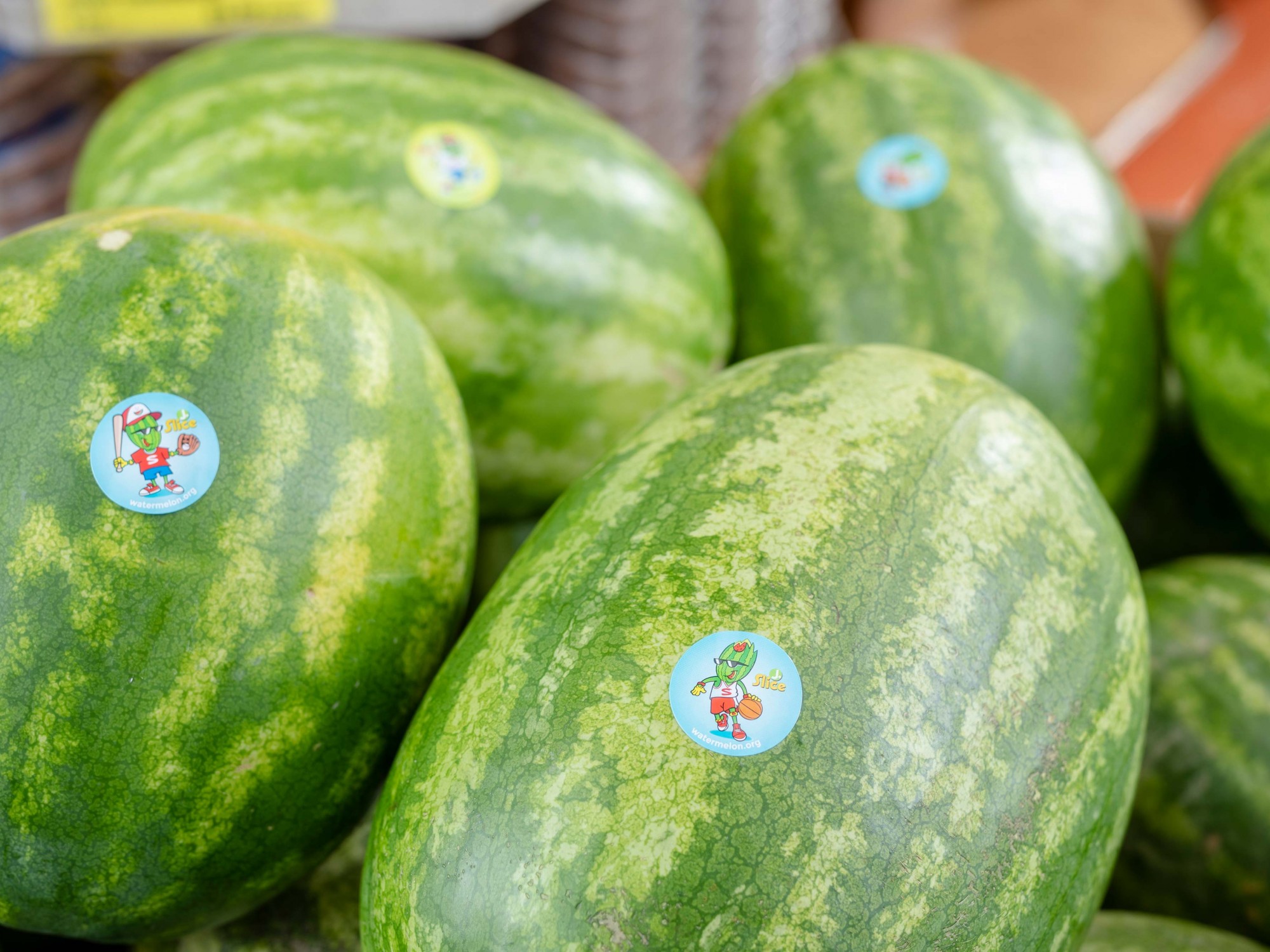 several watermelon on display with J Slice Sports stickers