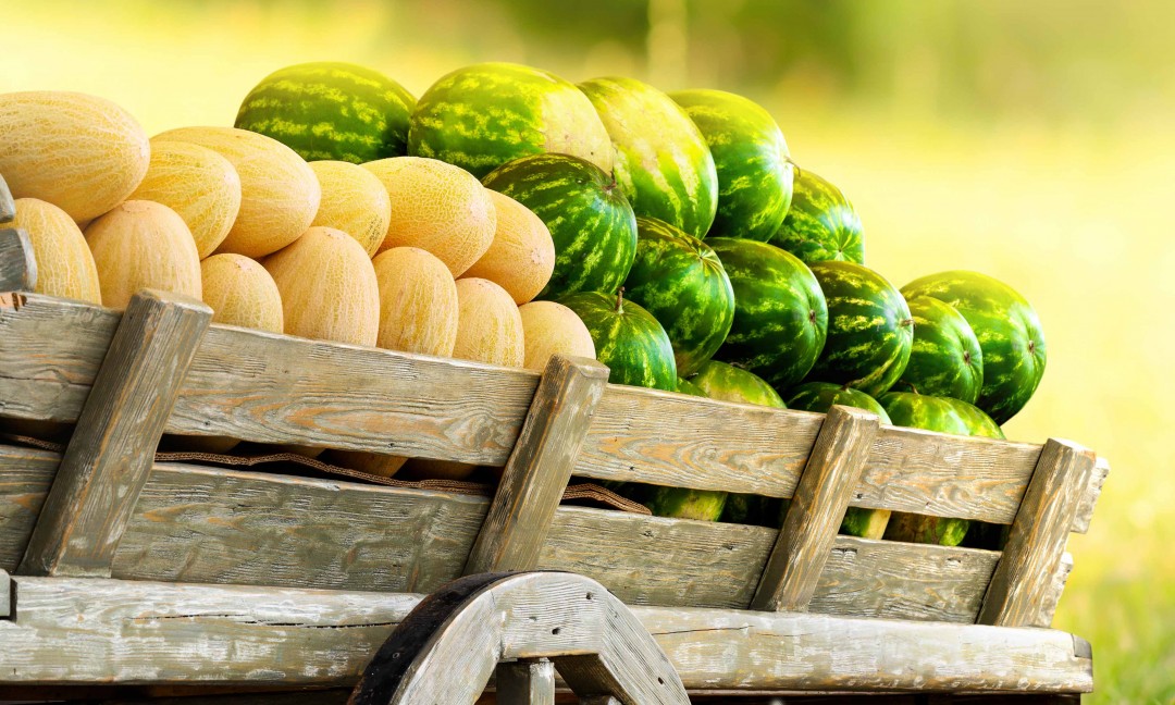 pile of ripe watermelon and yellow melons in old-fashioned wooden carriage