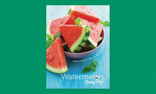 Retail Kit cover - watermelon slices in bowl and one on side, garnished with mint, blue background. Retail Kit set over green background