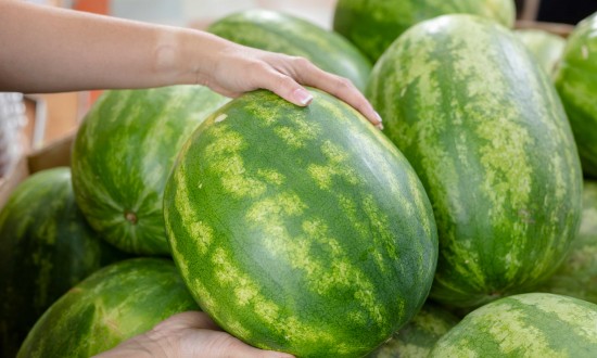 close-up of watermelons in bin, two hands holding one watermelon for picture