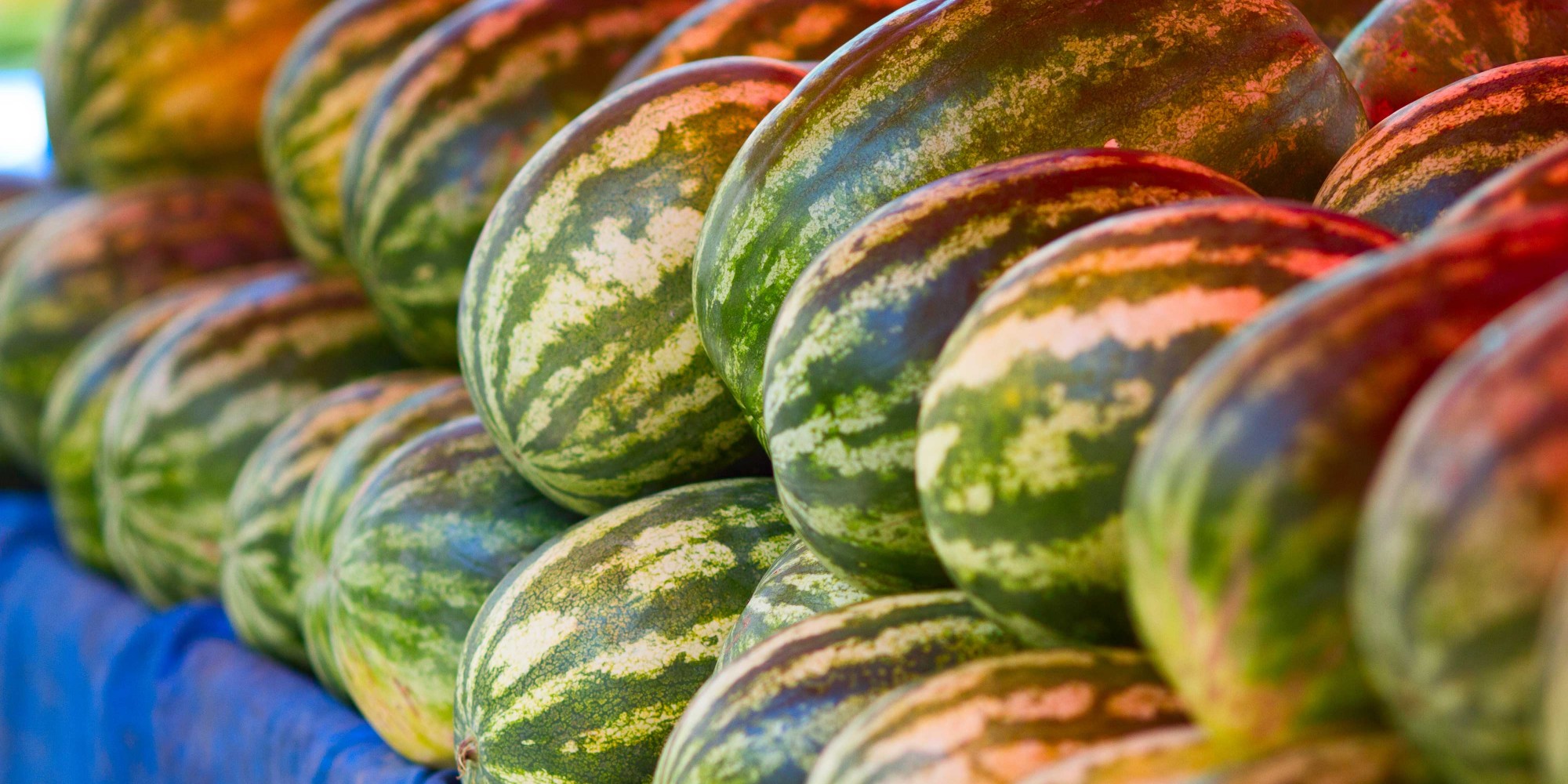 farmers market display of several watermelon, close-up