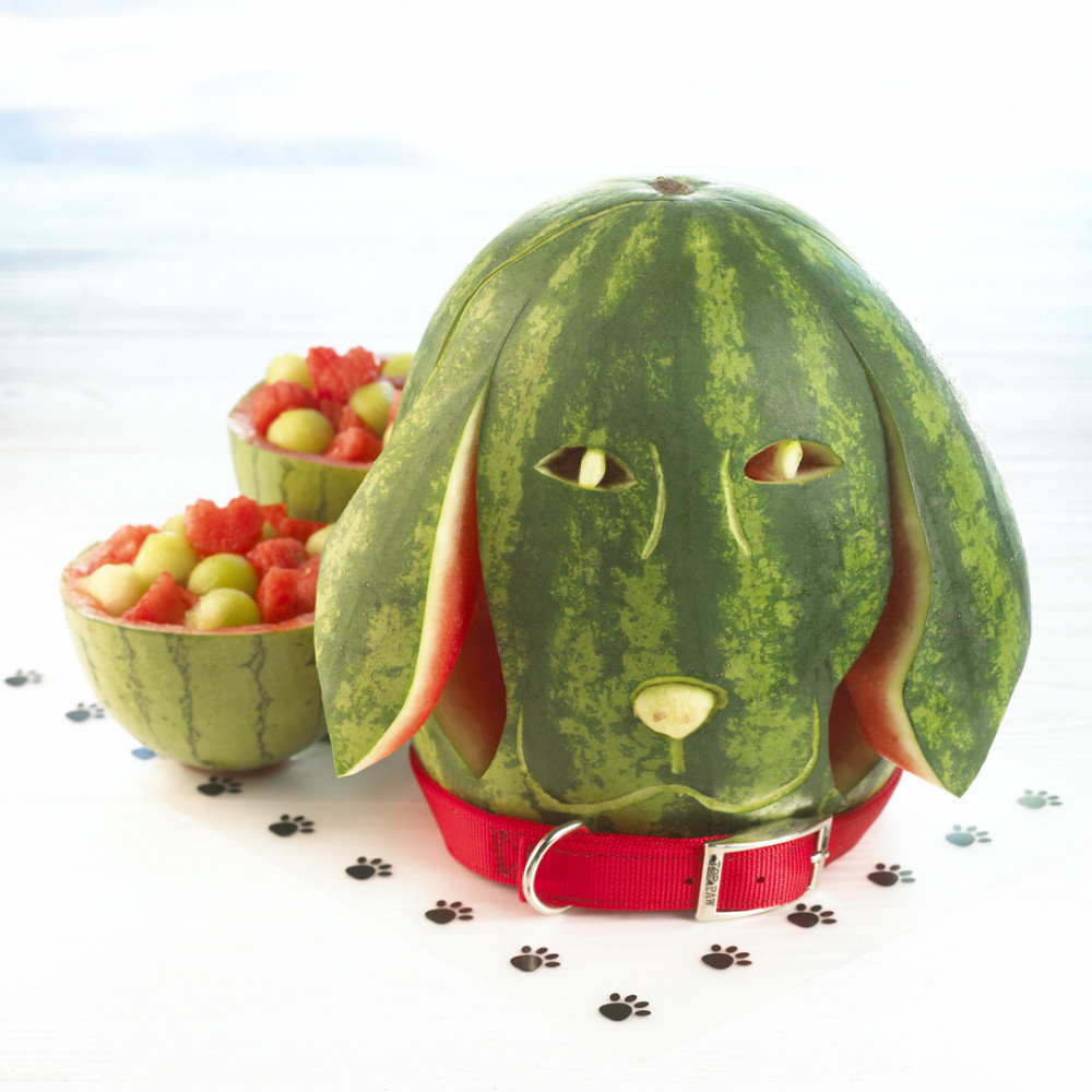 watermelon dog carving