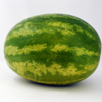 Seedless Watermelon