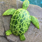 Watermelon Sea Turtle