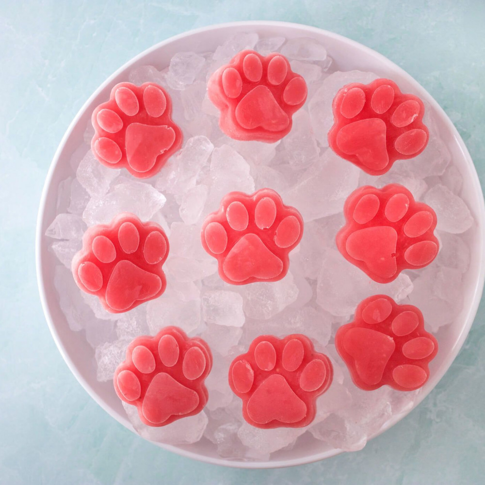 Watermelon Dog Treats