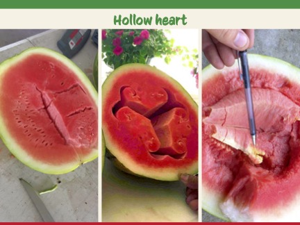 Hollow heart three phases shown side by side