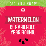 wintermelon graphic