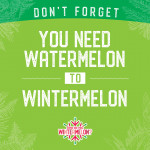 wintermelon graphic