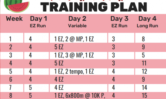 4 Month Marathon Training Plan