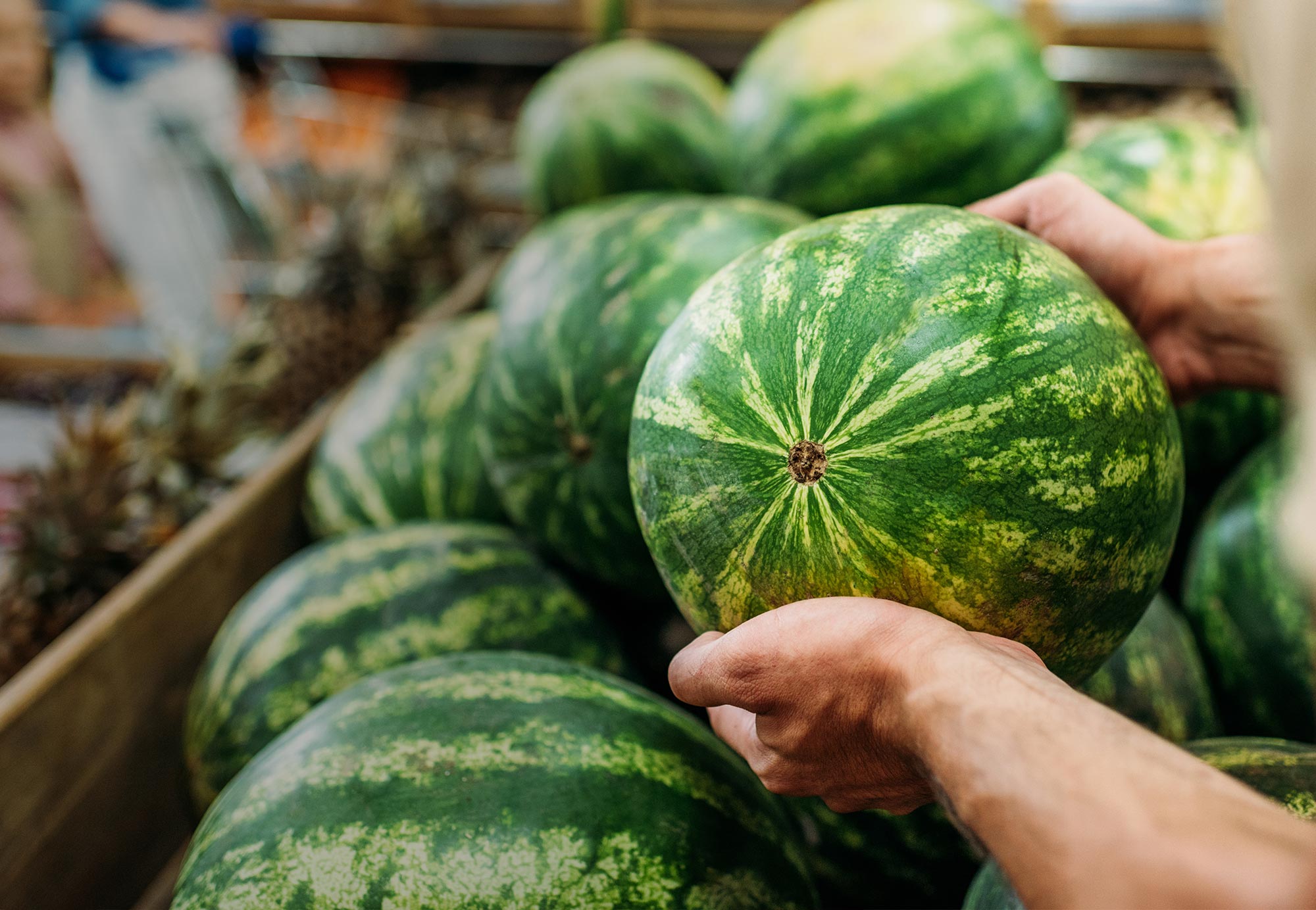 Hands holding a watermelon in a grocery store