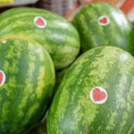 Close up of whole watermelons that have a heart shaped watermelon sticker on each.
